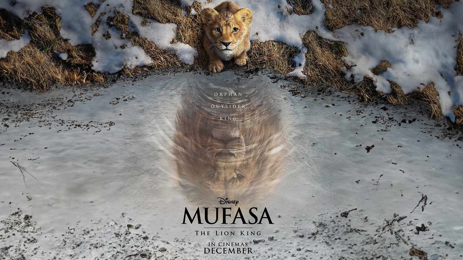 MUFASA: THE LION KING